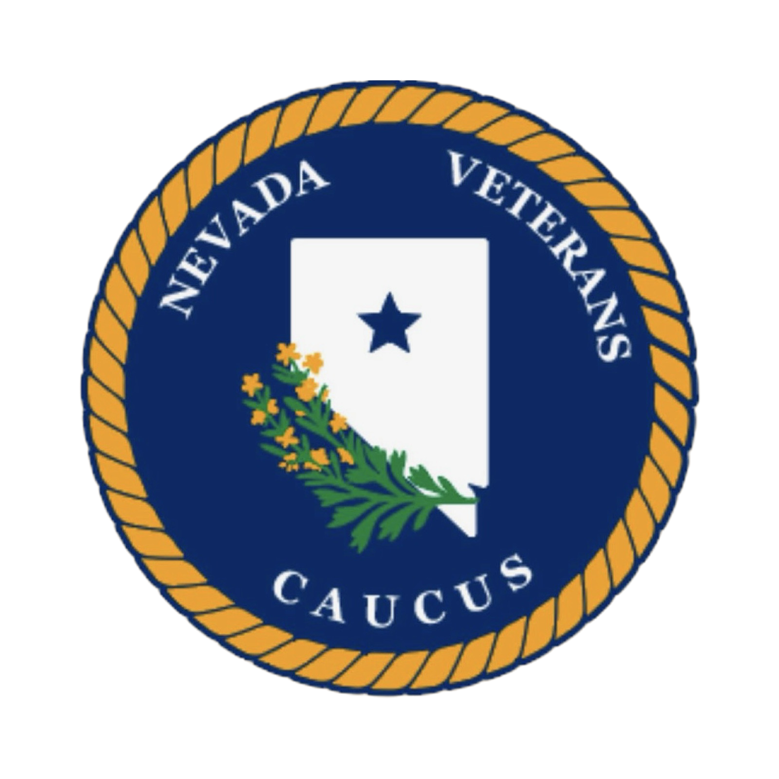 NVC